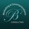 BJG Consulting
