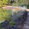 Georgia Sprinklers