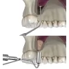 Steven Goodman, DDS