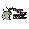 Flowers by Monica