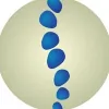 Camelot Chiropractic Centre