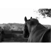 Eleventh Hour Farm & Equestrian Center