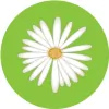 Daisy Clothing Boutique