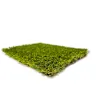 Rocky Mountain Artificial Turf