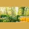 Lafayette Deck and Fence