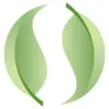 Sanctuary DermaSpa Salon