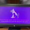 Eastside Dog & Cat Hospital