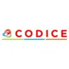 CODICE