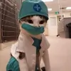 Kingston Veterinary Hospital