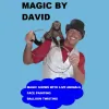 Magic by David