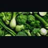 Nutrition Plan For You