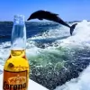 Wave Cutter Charters