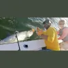 Lighthouse Fishing