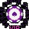 Vegas Image Parties