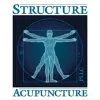 NeuroloQi Acupuncture