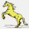 Adventure Horse Riding In NYS