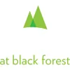Lodge at Black Forest