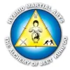 Hybrid Martial Arts