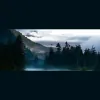 California Mental Health