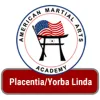 American Martial Arts Academy