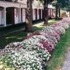 Schrader Funeral Home