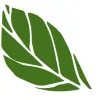 Five Point Holistic Health