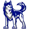 Skyview High School