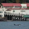 Orcas Village Store