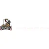 Grand Rapids Amateur Hockey Associates