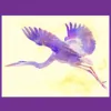 Blue Heron Acupuncture