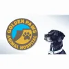Golden Paws Animal Hospital