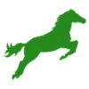 Willow Farm Therapeutic Riding