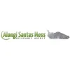 Alongi Santas Moss Insurance Agency