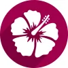 Dr. Celia Mendes