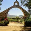 Baja Winery Tours