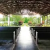 Black Sheep Shelter