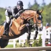 Arbor Grove Equestrian