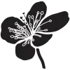 Hawthorn Holistic Health