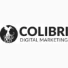 Colibri Digital Marketing