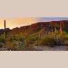 Tucson Family & Geriatric Medicine