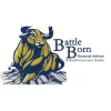 Battleborn Financial Advisor