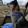 A & A Windshields