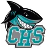 Chambers High School