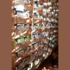 Mountain West Optical