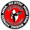 Amir Academy Of Martial Art