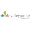 Valley Pointe Acupuncture