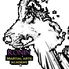 Ronin Martial Arts Academy