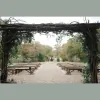 The Grove