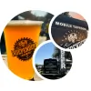 Independent Brewing