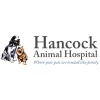 Hancock Animal Hospital